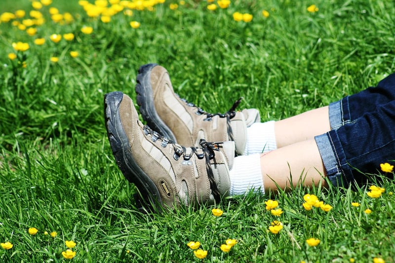 Hiking Shoes