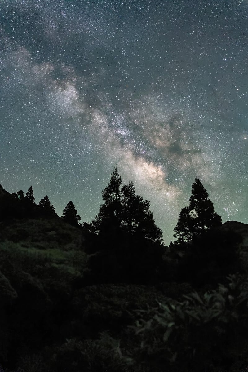 Starry night sky over a camping site